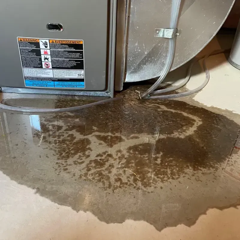 Appliance Leak Cleanup in Shallotte, NC